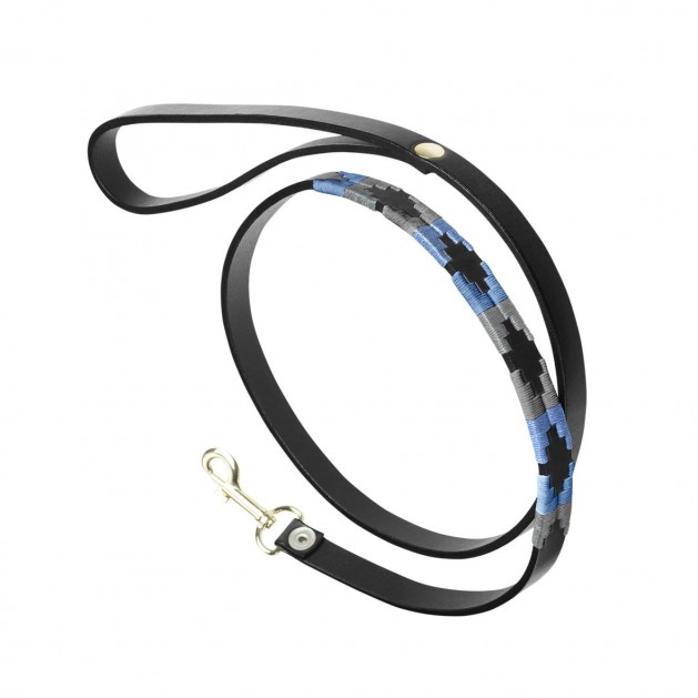 Leather Dog Lead "Black & Blue"